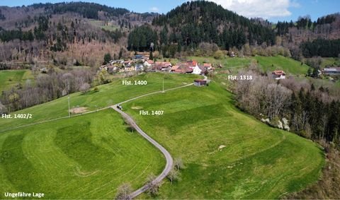 Schopfheim Grundstücke, Schopfheim Grundstück kaufen