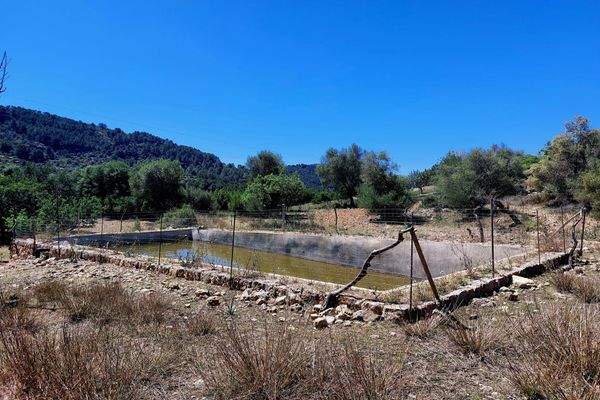 Grundstück mit Bauprojekt