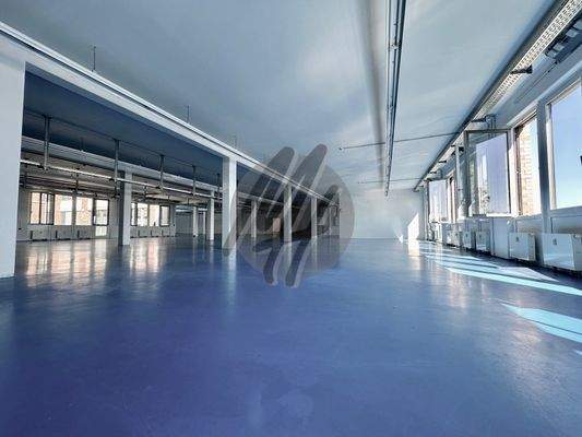 INFOS UNTER: 06171-586000