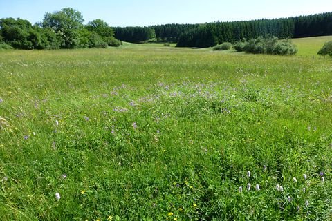 Uttenweiler Bauernhöfe, Landwirtschaft, Uttenweiler Forstwirtschaft