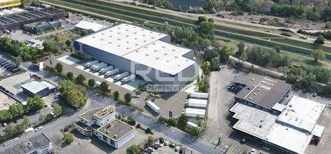 Gelsenkirchen Halle, Gelsenkirchen Hallenfläche