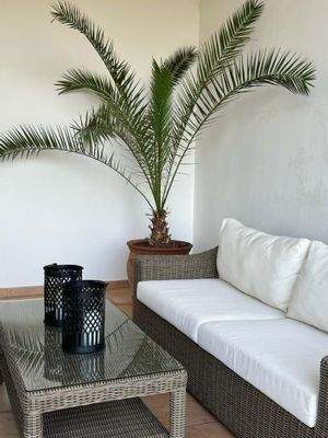 92ba58f7-c07c-41d1-bda5-85bbfa47bbaa