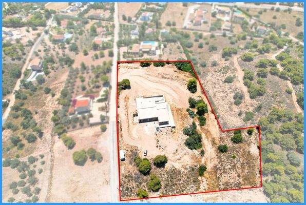 1d2376879169446281bc2fe351637434-original