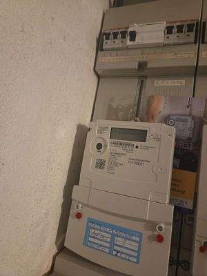 Modernisierter Stromzähl.+FI