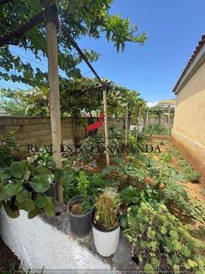 WhatsApp Image 2025-08-05 at 15.15.06 (2).jpeg