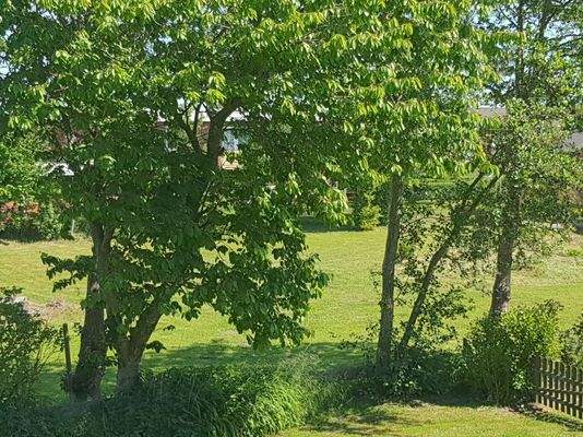 Blick in den Garten