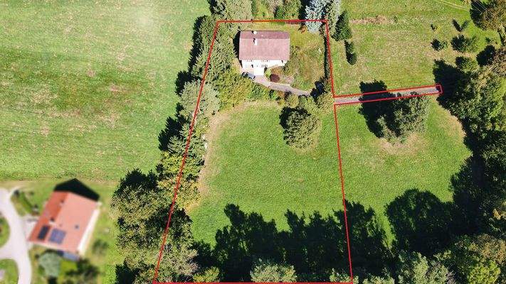 titel mit grenze.jpg