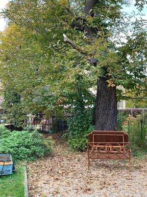 0C4B2EF2-9442-4BC4-BF1E-06D309