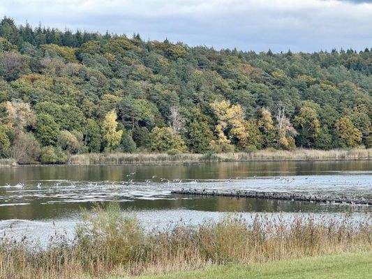 Elbe 5 Gehminuten entfernt