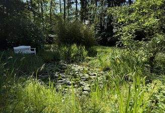 Gartenteich