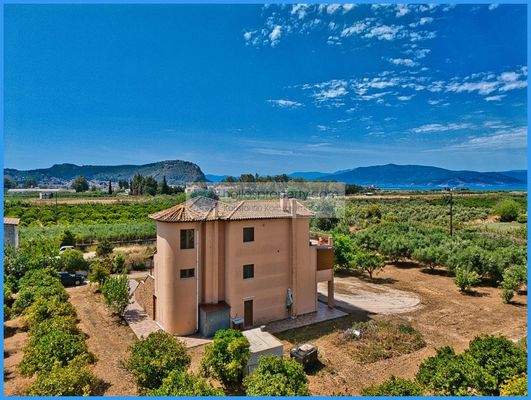 2ead18b02fe542d38a81f639f1ee0bae-original