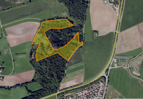 Feuchtwangen Bauernhöfe, Landwirtschaft, Feuchtwangen Forstwirtschaft