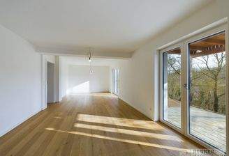 Wohn-Ess-Küchenbereich_3