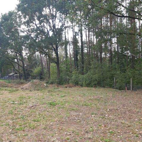 Großröhrsdorf Grundstücke, Großröhrsdorf Grundstück kaufen