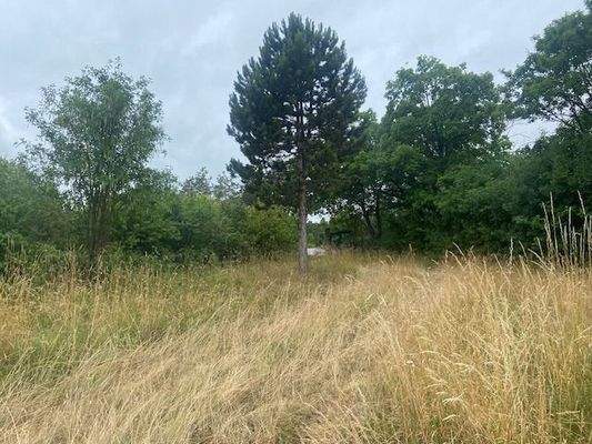 Grundstück Tor Einfahrt Bild 4