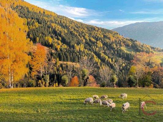 Gartenwohnung Bad Kleinkirchheim (2)