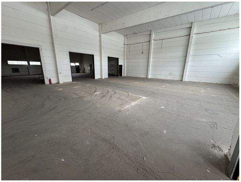 Landsberg am Lech Halle, Landsberg am Lech Hallenfläche