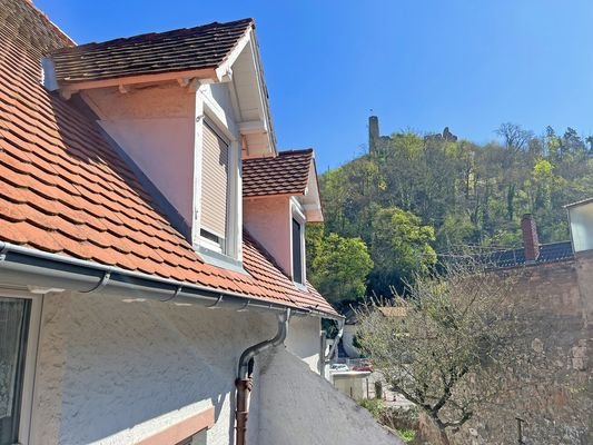 Burgblick