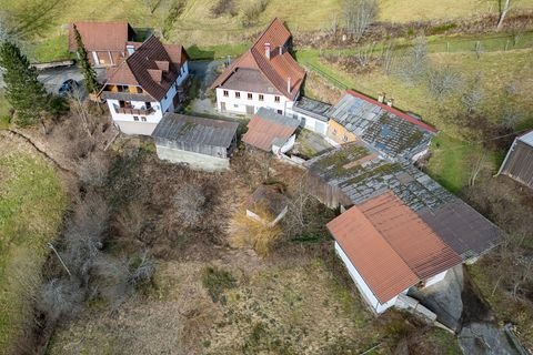 Schiltach-Lehengericht Häuser, Schiltach-Lehengericht Haus kaufen