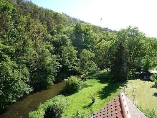 DG: herrlicher Ausblick, Natur pur!