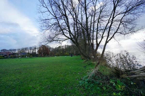 Wiese am See (1).JPG