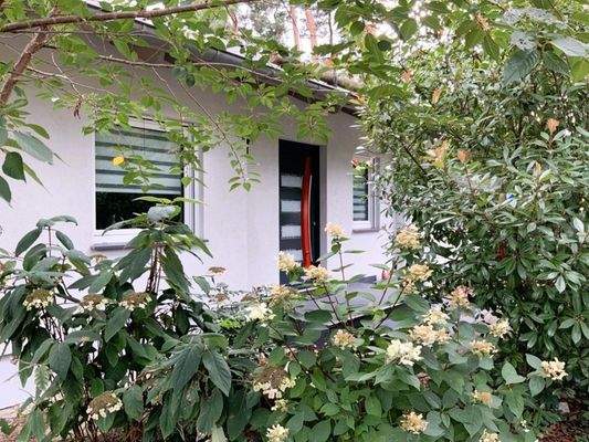 Hauseingang und Natur