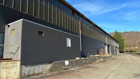 Geislingen an der Steige Halle, Geislingen an der Steige Hallenfläche