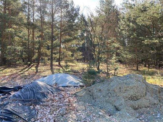 angrenzendes Flurstück 235 mit 2.537 m²