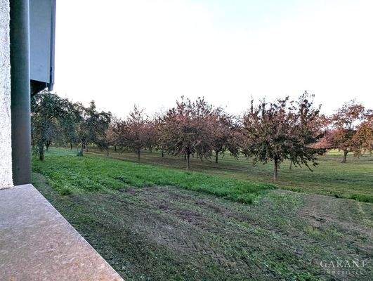 PXL 20251018 162404920