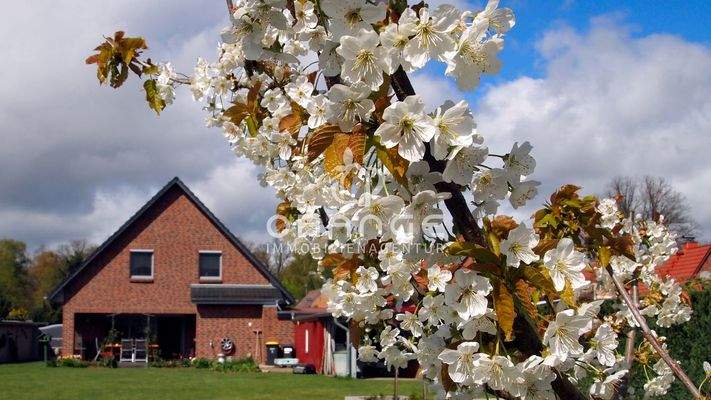 Obstbaumbestand und viele blühende Pflanzen im Garten