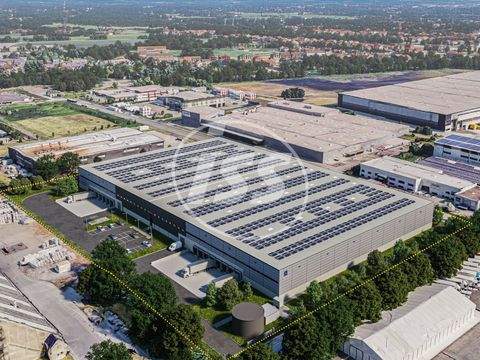 Oberhausen Halle, Oberhausen Hallenfläche