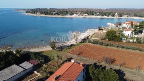 Umag Wohnungen, Umag Wohnung kaufen