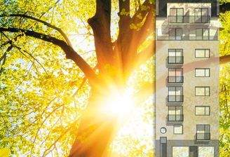 Rathenau2 Scout 731_550 px.jpg