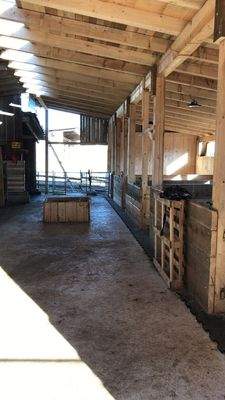 Pferdestall