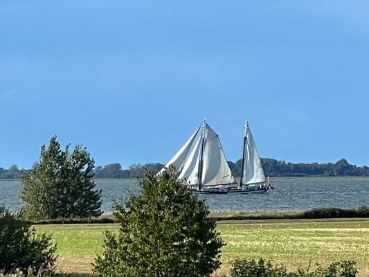 Blick auf den Bodden