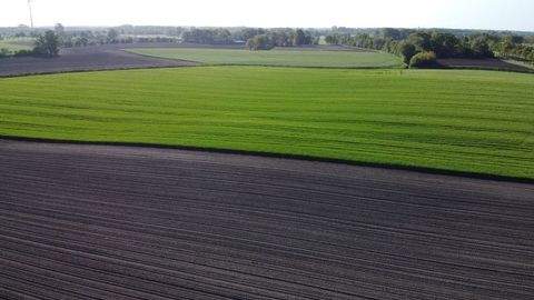 Ehingen Bauernhöfe, Landwirtschaft, Ehingen Forstwirtschaft
