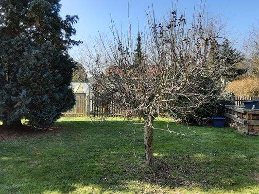 Blick auf Bepflanzung.jpg