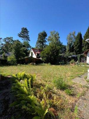 Blick auf das Grundstück