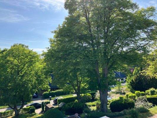 Blick von der Terrasse