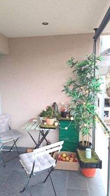 Kern -Sanierung  2016 Perfekt