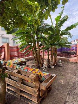 Chillen unter Bananenstaude