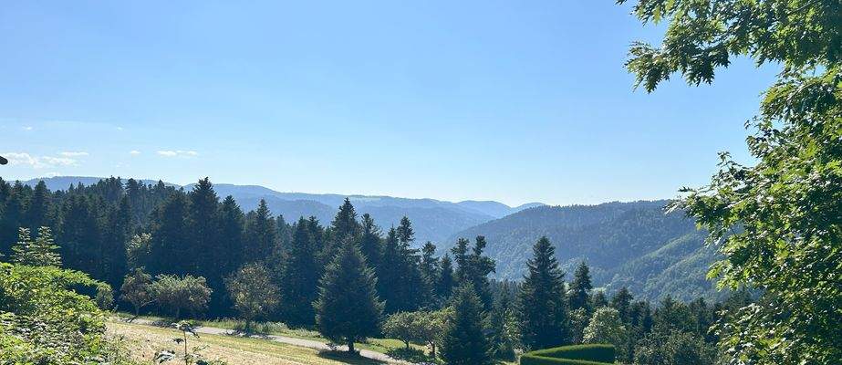 Ist das der Ausblick den Sie sich wünschten? 