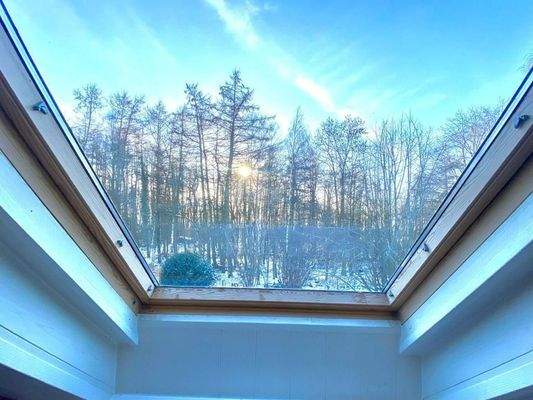 Dachflächenfenster mit Blick in den Garten