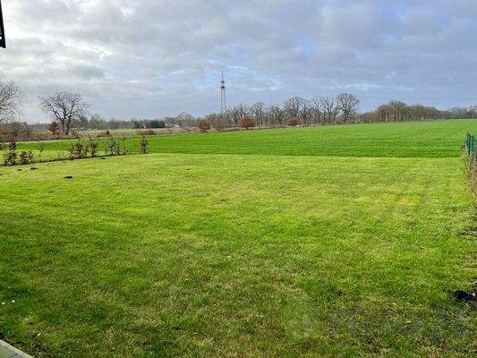 Gemeinschaftlicher Garten