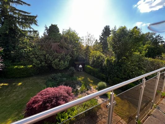 Blick in den Garten