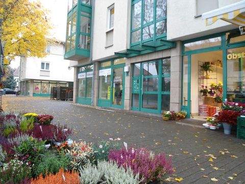 Dresden Ladenlokale, Ladenflächen 