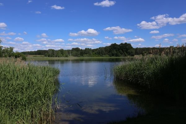 1. Kluger See Klein Trebbow