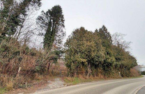 Zufahrt zum Grundstück