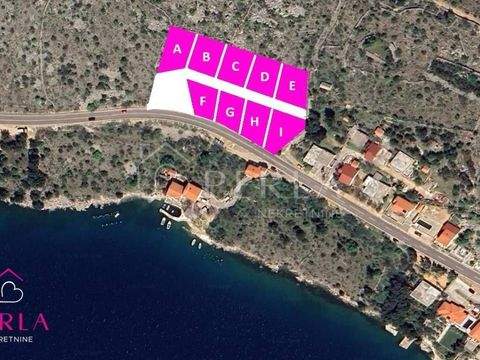 Vostarnica - Poluotok Bauernhöfe, Landwirtschaft, Vostarnica - Poluotok Forstwirtschaft