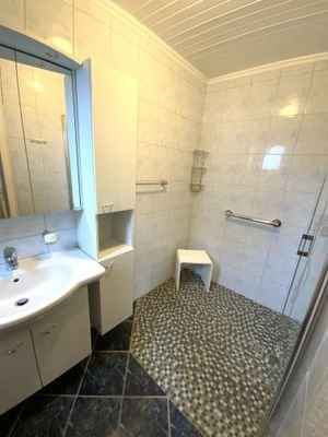 Modernisiertes Duschbad im Erdgeschoss